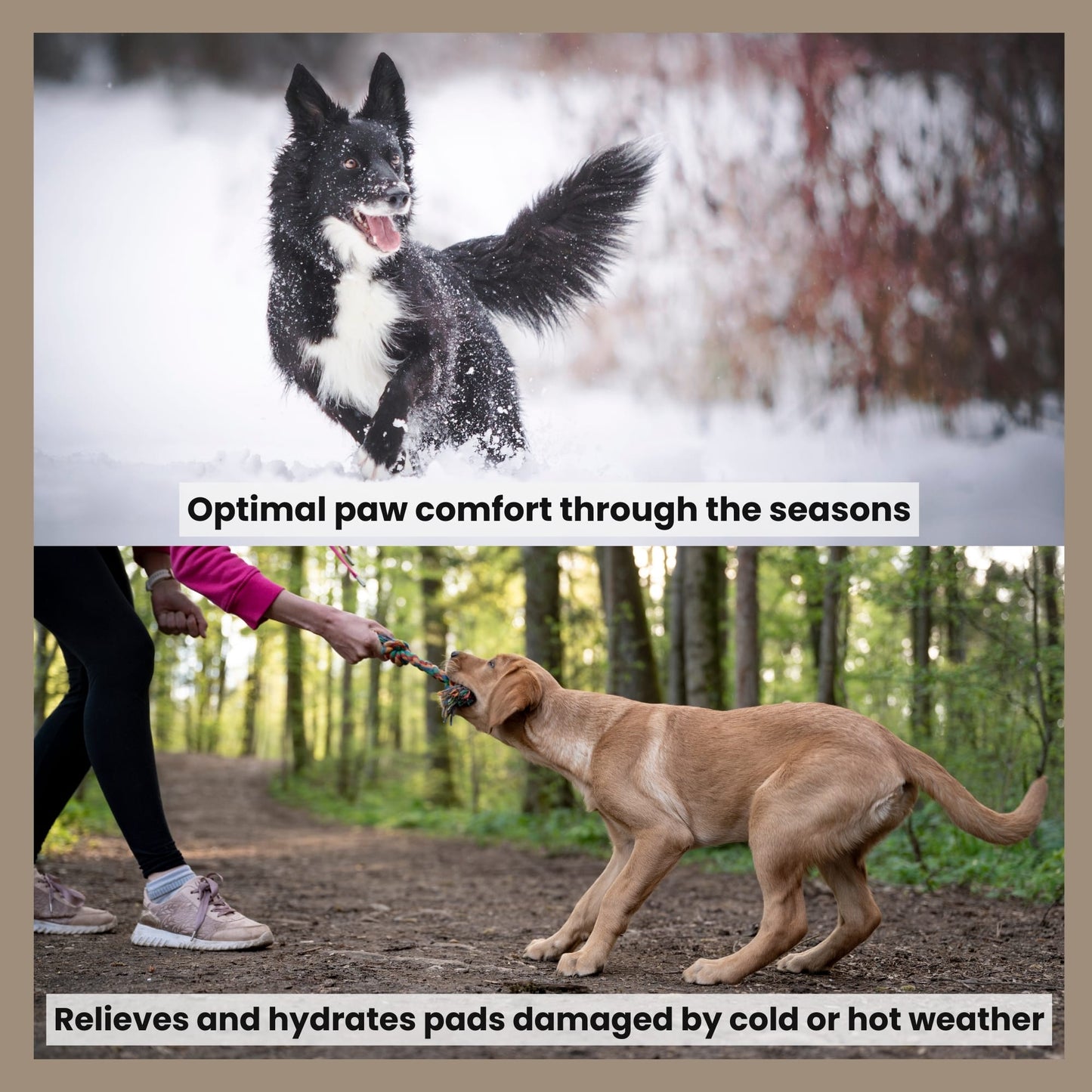 Paw Balm for dogs and cats - Hydrates, soothes and prevents from freezing and burning